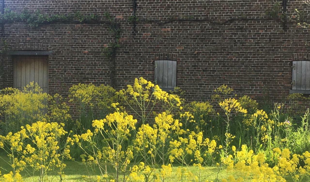 Het Zwaantje Vila Londerzeel Exterior foto